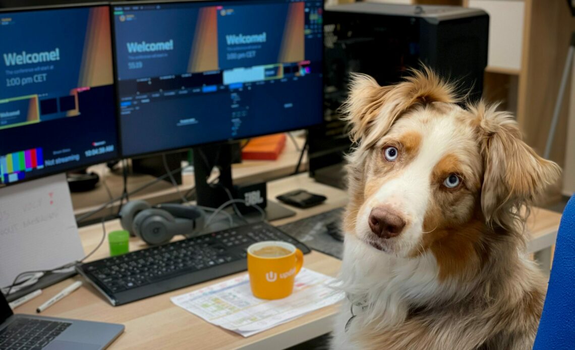 dog-and-computer-scaled-9471810